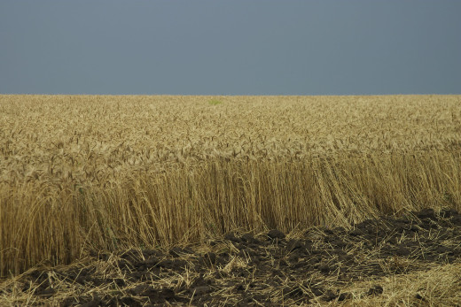 435206 (a): :3076x2052